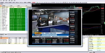 現貨交易軟件首選GTS軟件，公司主推產品優惠多多，欲購從速